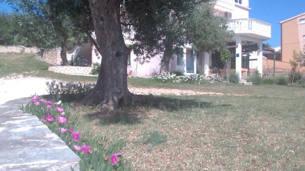 פוסדריה Apartments Sara מראה חיצוני תמונה