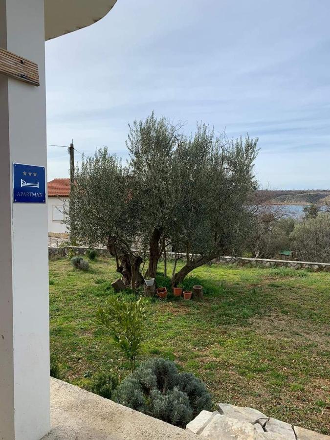 פוסדריה Apartments Sara מראה חיצוני תמונה