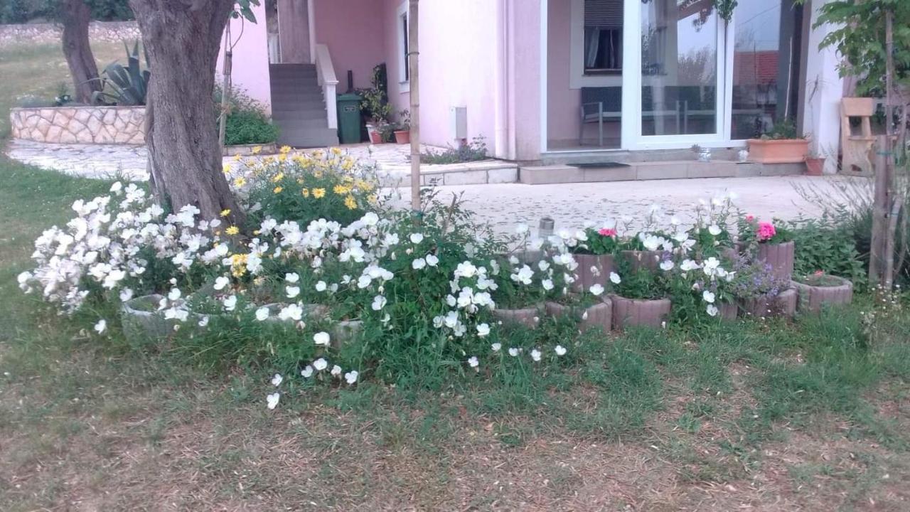 פוסדריה Apartments Sara מראה חיצוני תמונה