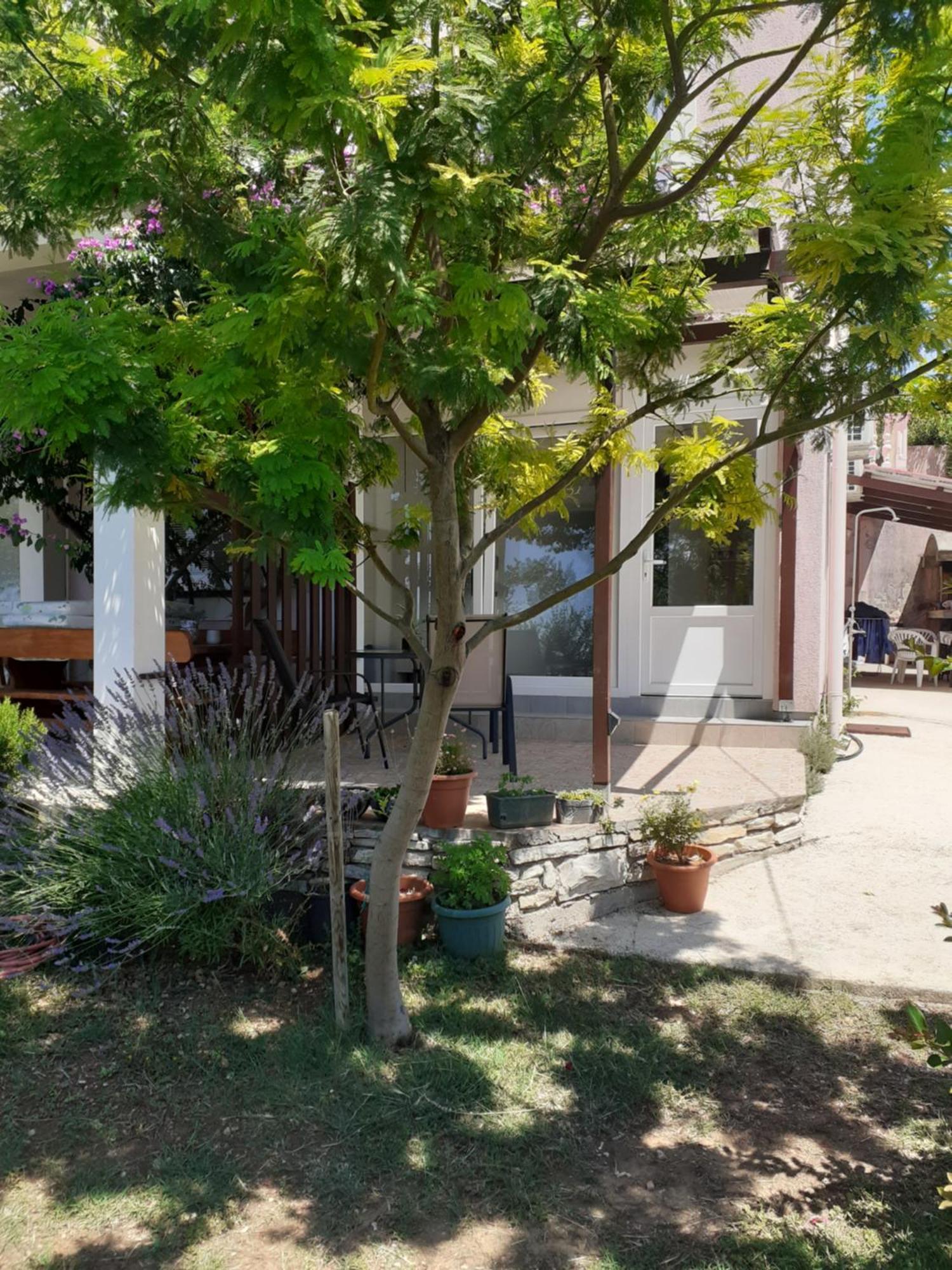 פוסדריה Apartments Sara מראה חיצוני תמונה