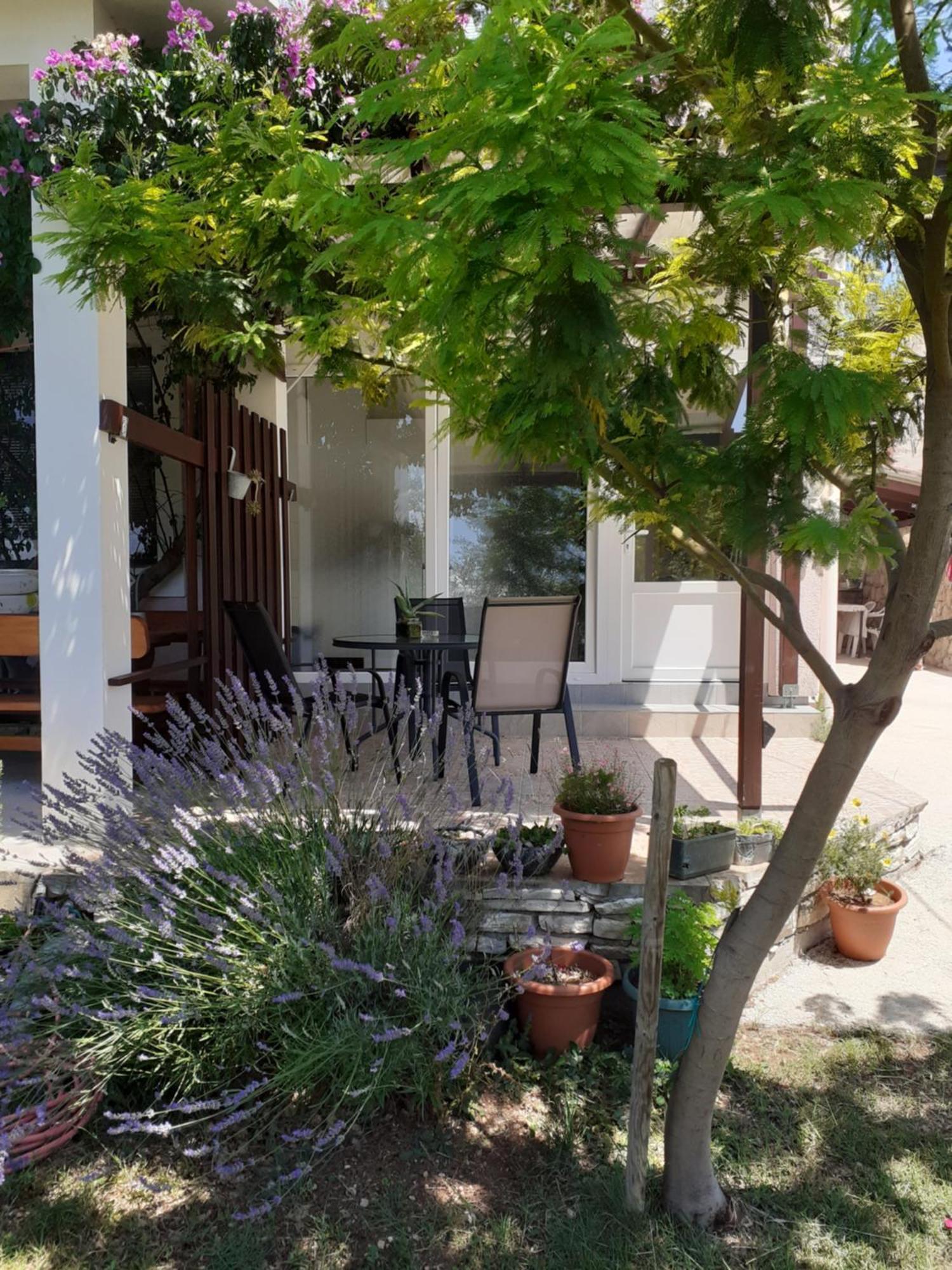פוסדריה Apartments Sara מראה חיצוני תמונה