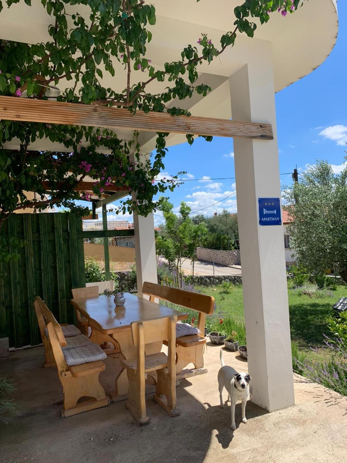 פוסדריה Apartments Sara חדר תמונה
